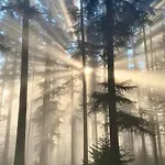 Holzhaus Nationalpark Eifel Hund Willkommen