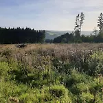 Holzhaus Nationalpark Eifel Hund Willkommen Шале