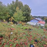 Holzhaus Nationalpark Eifel Hund Willkommen Хелленталь