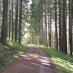 Holzhaus Nationalpark Eifel Hund Willkommen Шале