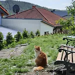 Шале Holzhaus Nationalpark Eifel Hund Willkommen Хелленталь
