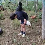 Holzhaus Nationalpark Eifel Hund Willkommen
