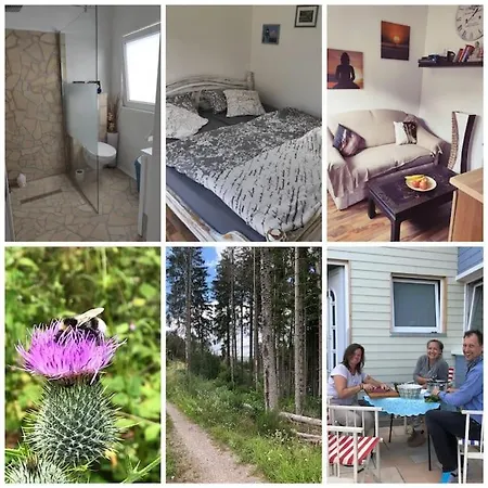 Holzhaus Nationalpark Eifel Hund Willkommen * 黑伦塔尔