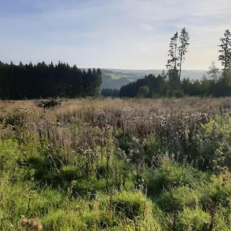 Holzhaus Nationalpark Eifel Hund Willkommen Dağ evi