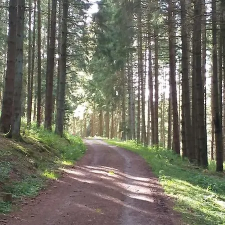 Holzhaus Nationalpark Eifel Hund Willkommen Dağ evi