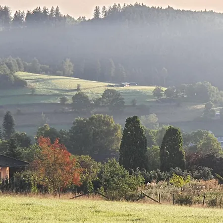 Holzhaus Nationalpark Eifel Hund Willkommen Alpehytte *
