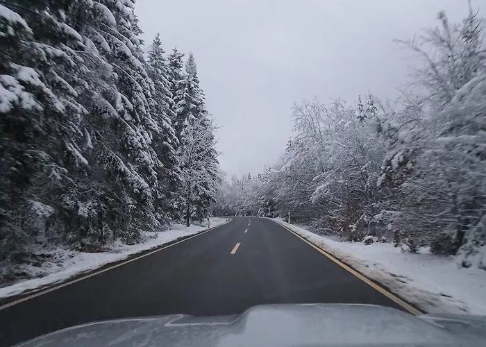 Holzhaus Nationalpark Eifel Hund Willkommen