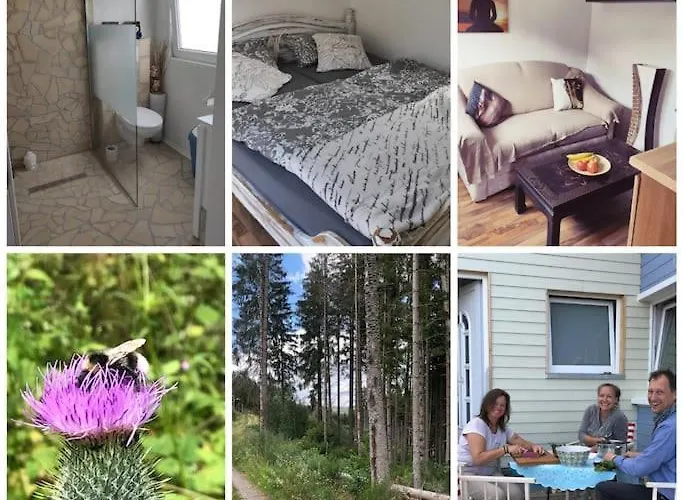 Holzhaus Nationalpark Eifel Hund Willkommen * Hellenthal