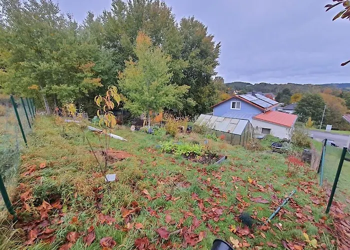 Holzhaus Nationalpark Eifel Hund Willkommen Hellenthal