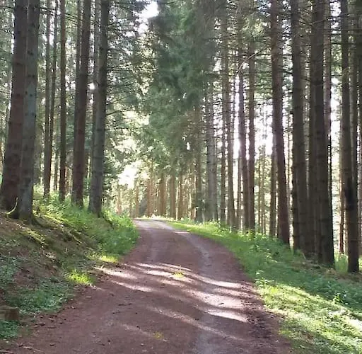 Holzhaus Nationalpark Eifel Hund Willkommen Alpehytte