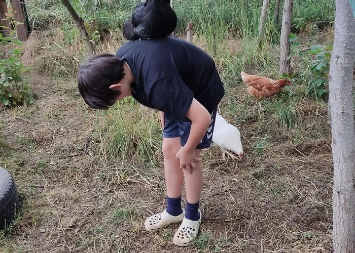 Holzhaus Nationalpark Eifel Hund Willkommen