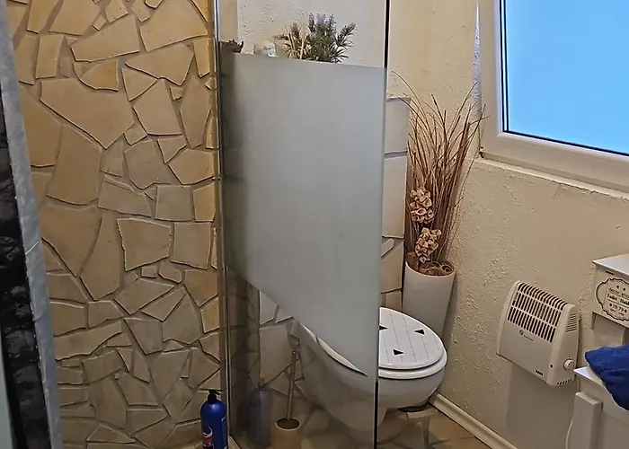 Holzhaus Nationalpark Eifel Hund Willkommen Alpehytte